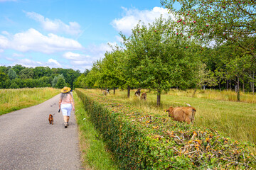 Adult woman walking her dog along rural road between livestock farms, wearing casual clothes and hat, back to camera, leafy trees in background, sunny summer day in Limburg, the Netherlands