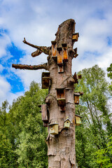 Dead and dry tree trunk with large number of large and small birdhouses, bird conservation and feeding, green leafy trees against blue sky with white clouds in the Netherlands
