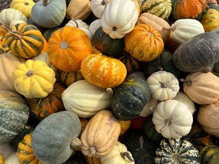 Pile of small multicolored pumpkins in orange, green, and white hues with natural stripes. For illustrating fall harvest markets, seasonal agriculture, and local farming during the autumn season.