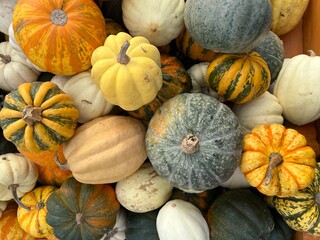 Closeup of small decorative pumpkins in assorted colors. The mix of patterns, textures and natural shades creates a rich autumnal display. Agriculture, local farming and market season.
