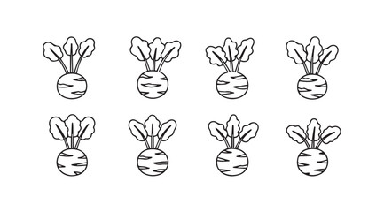 Hand drawn beetroot set fresh root vegetables organic healthy produce botanical sketch collection vector