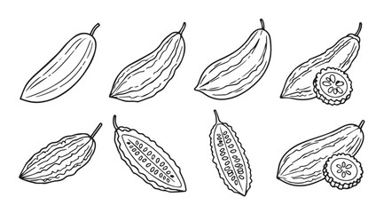 Hand drawn sketch of cucumbers various angles showing whole and sliced vegetables in outline style vector