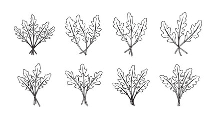 Set of eight stylized hand-drawn herb bundles organic botanical elements for design vector