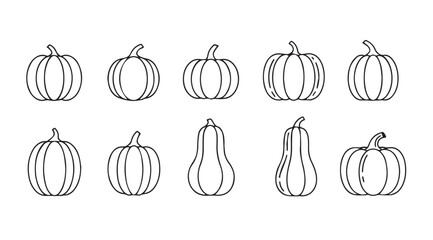 Collection of hand drawn outline pumpkins and gourds for autumn and harvest season design vector