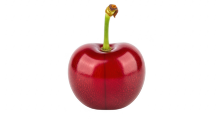 Single shiny red cherry isolated