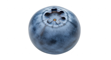 Close-up blueberry macro detail