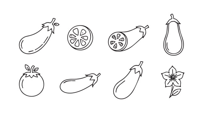 Hand drawn sketch collection of fresh eggplant varieties and culinary preparations for food art vector