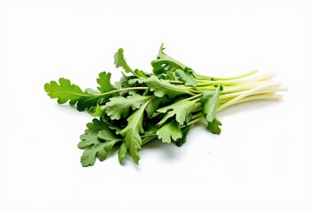 Fresh Green Bunch of Organic Arugula Leaves with Stems on a Clean White Background Highlighting Vibrant Texture and Nutritional Freshness of Leafy Vegetables