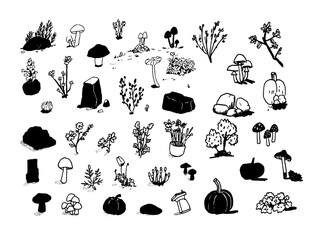 Set of autumn nature art illustration doodle vector: mushroom, branches, flowers, pumpkin, leaves, rocks, separate nature elements isolated 