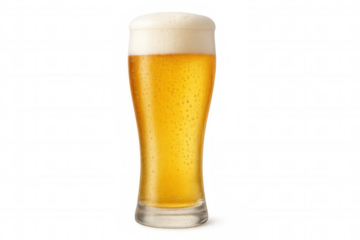 Pilsner glass is holding a crisp cold lager beer, showing condensation and a rich foam head, ideal for refreshment