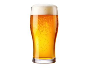 A tall glass of golden beer with a frothy white head and bubbles.