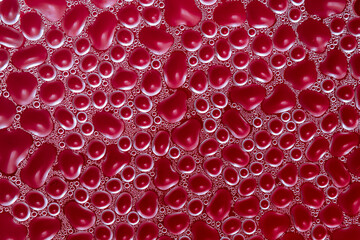 White bubbles of different sizes evenly on a red natural background. Water condensation on glass close-up