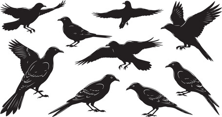 Obraz premium Silhouette bird collection flying perched set