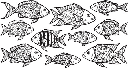 Sketchy fish collection hand drawn artwork