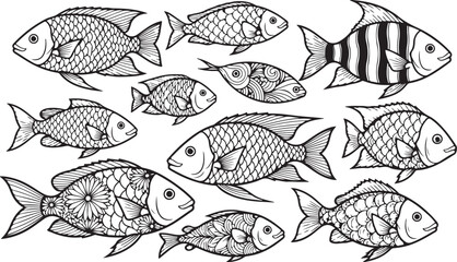 Hand drawn fish collection various sizes