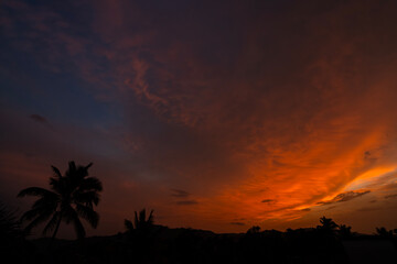 Sunset and Palm Trees