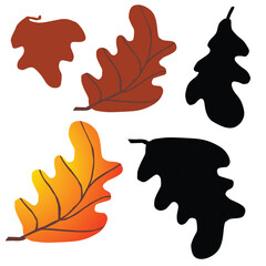 Obraz premium vector illustration of autum leaf