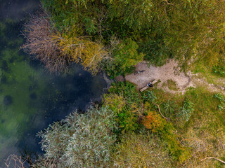 Aerial view of tranquil forest pond with person resting on bench and bicycle nearby surrounded by autumn foliage and dense greenery, blending solitude and seasonal nature.