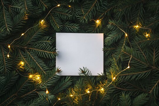 Blank white paper rests on a bed of fresh green fir branches with glowing festive string lights, creating a serene holiday background for text.