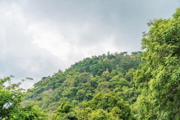 A mountain covered in trees and a cloudy sky