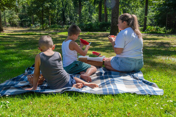 Family enjoying a delightful summer picnic on a checkered blanket in a sunny park, with children and their mother sharing slices of juicy watermelon, embracing healthy eating and outdoor recreation