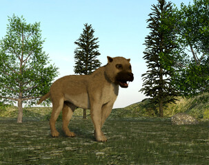 Illustration of a bear-dog (Amphicyon), an animal that lived in the Miocene