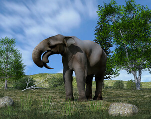 Illustration of a Deinotherium (extinct mammal that lived between the Miocene and the Pleistocene)