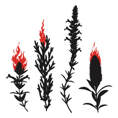 Silhouette Vector Graphic of Wildflowers Some with Fire Flames Red