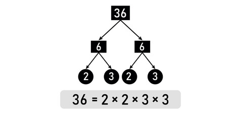 Prime Factor Tree of 36 in mathematics.