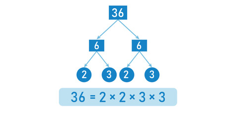 Prime Factor Tree of 36 in mathematics.