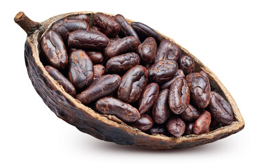 Cocoa isolated on white background