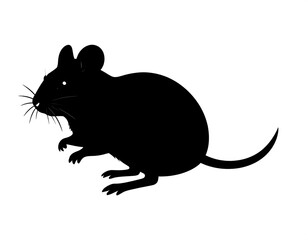 Obraz premium Simple, high-contrast silhouette of a small rodent on a white background