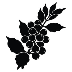 Black and white coffee plant branch with leaves and beans graphic