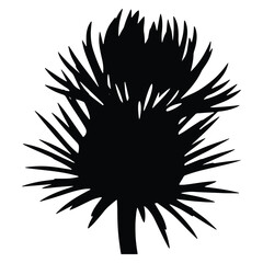 Black silhouette of a palm tree on a white background