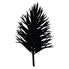 Black silhouette of coniferous tree on white background illustration design