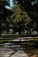 Sunny park alley with trees and an empty bench in Belgrade, Serbia. Calm autumn day with natural light and soft shadows.