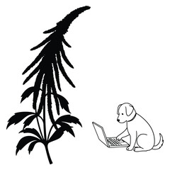 Dog Working on Laptop Near Plant Vector Illustration Concept Design