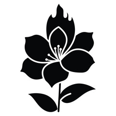 Dramatic Black Flower Silhouette with Flame Design Above Petals Illustration