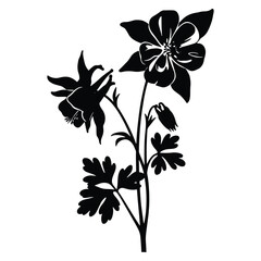 Elegant Aquilegia Flower Silhouette on White Background for Creative Designs