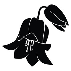 Elegant Black and White Bellflower Illustration for Botanical Designs and Projects