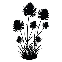Obraz premium Elegant black flower silhouette with grass on white background illustration