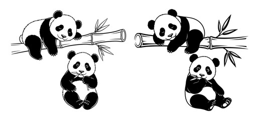 Vector art of adorable panda bears enjoying bamboo shoots, a charming and playful illustration © FrajanaAI