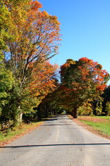 Naklejka premium Country road in fall with great foliage in Quebec