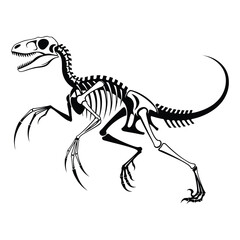 Fototapeta premium Minimalist velociraptor skeleton running dynamic pose isolated on white background