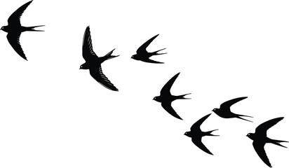 Flying swallow bird silhouettes in diagonal formation, black vector illustration of birds in motion, migration, freedom, wildlife, nature flight design