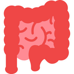 Small Intestine Icon