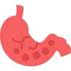 Stomach Icon