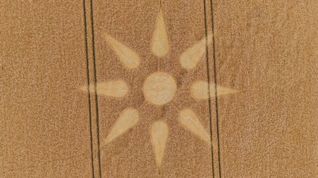 Aerial 4K footage video clip of a mysterious, intricate, geometric crop art, crop circle formation in a barley field near Kingsdon, Somerset, England, UK in 2025
