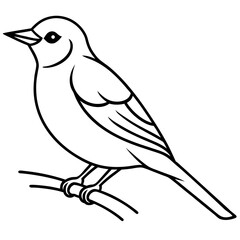 Obraz premium Minimalist Bird Line Art Design on the branch