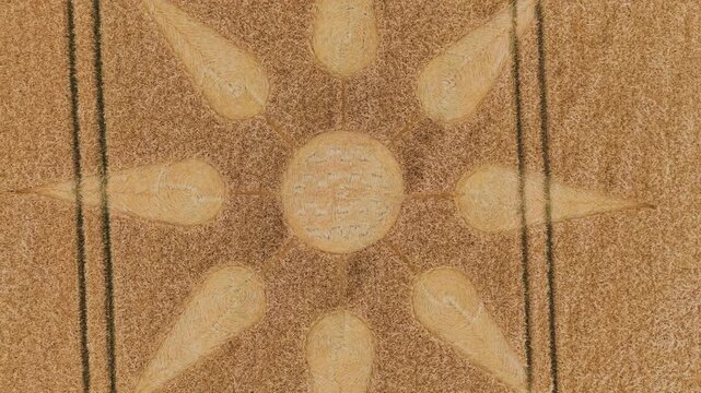 Aerial 4K footage video clip of a mysterious, intricate, geometric crop art, crop circle formation in a barley field near Kingsdon, Somerset, England, UK in 2025